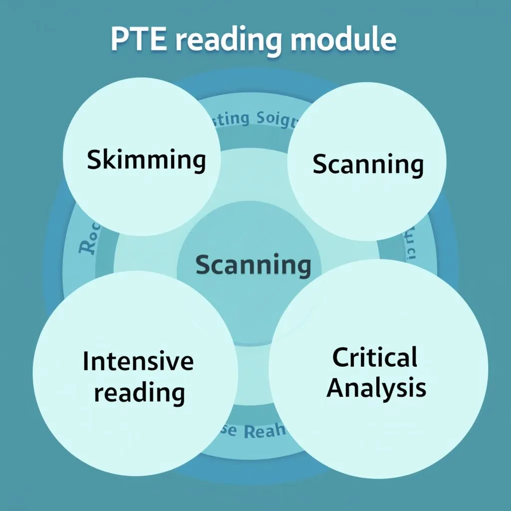 Integrating various reading strategies for PTE success