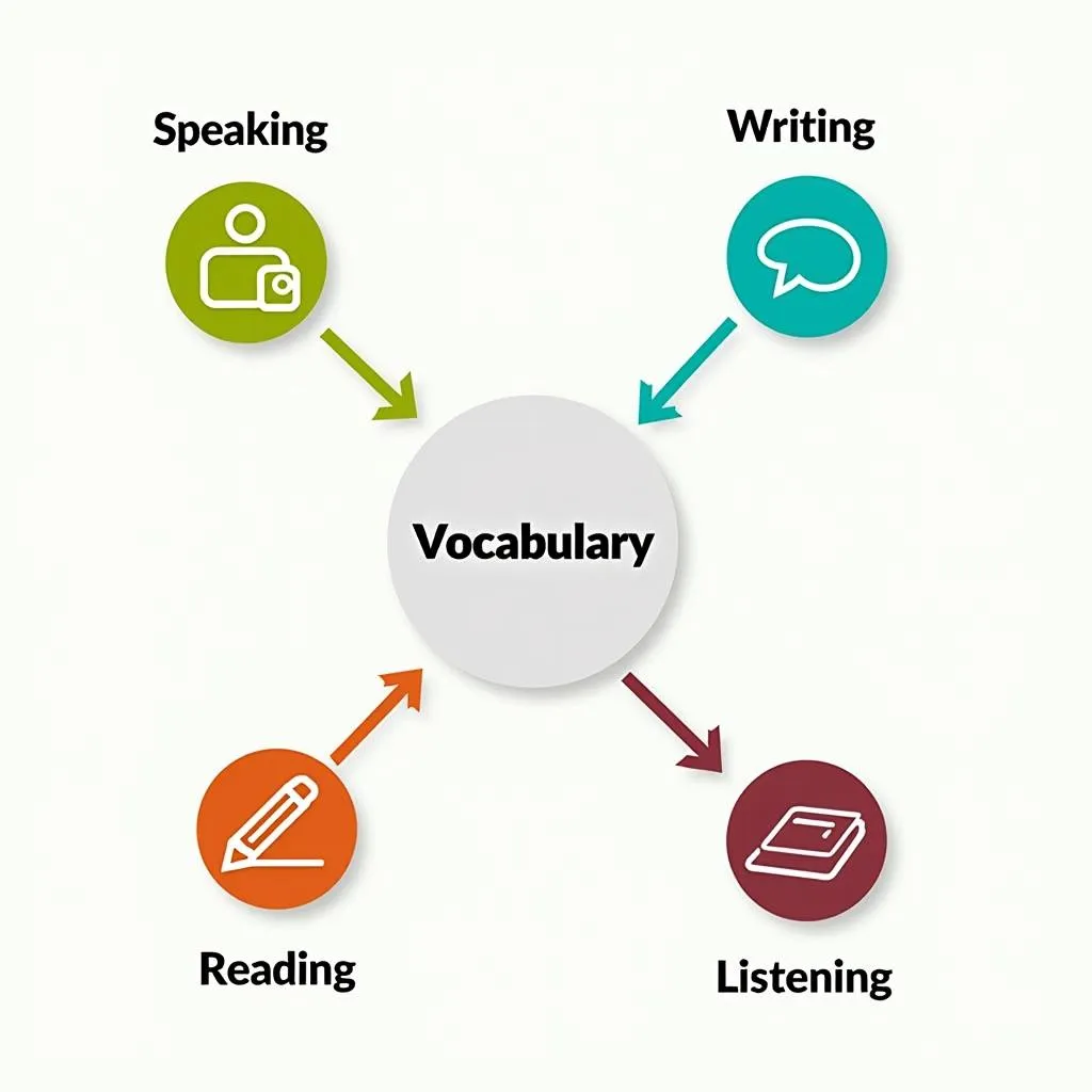 Importance of Vocabulary in PTE